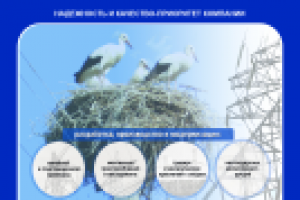 Работа 2216681