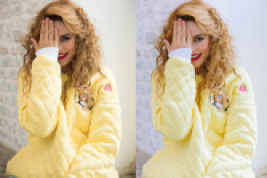 Работа 2720131