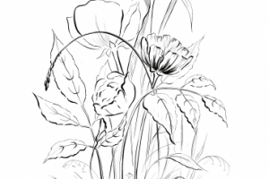 Эскиз рисунка