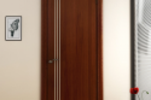 Визулизация дверей