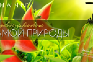 Работа 2428459