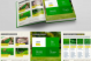 Газон 5 Маркетинг