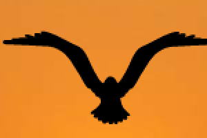 Баннер дешёвых билетов