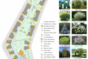 Эскиз-предложение для турбазы