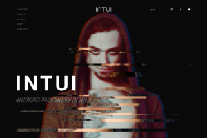 INTUI rock-band конкурсная работа