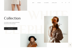 FASHION online store