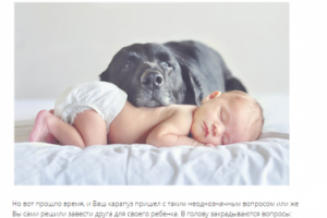 Какое животное завести в кваритре для ребенка