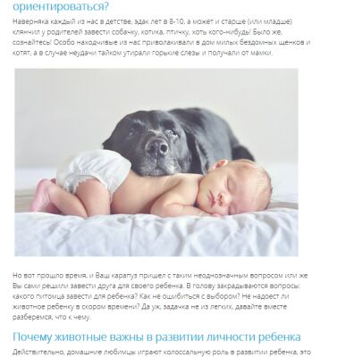 img3149359.png