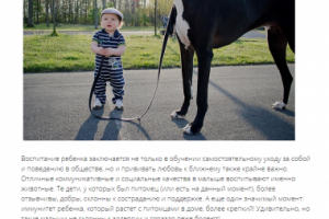 Домашние животные для детей