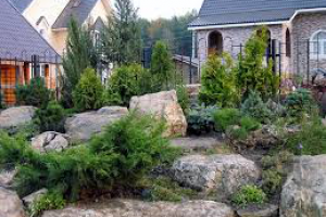 Текст для сайта ландшафтного дизайна