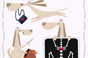 Бренд-персонаж для ветклиники