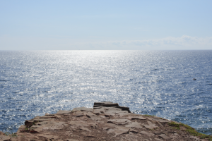 Работа 3725671