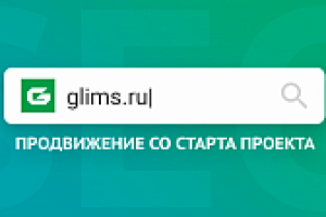 Продвижение интернет-магазина GLIMS