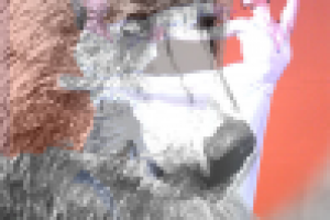 к рассказу бабочка и медведь