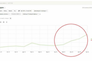 Работа по увеличению трафика на сайт из социальных сетей