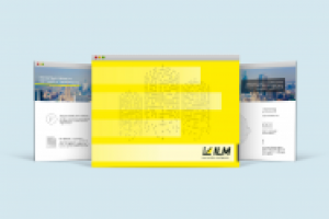 Презентация ILM