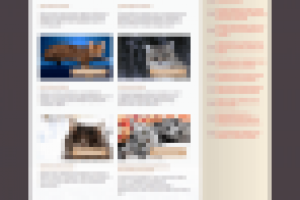 Верстка и натяжка макета на WP