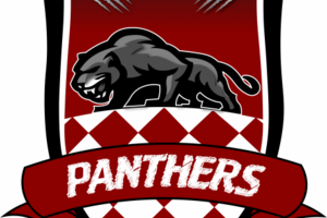 Пантеры