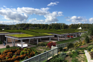 Дом с эксплуатируемой кровлей