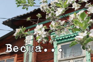 Художественная зарисовка по эссе