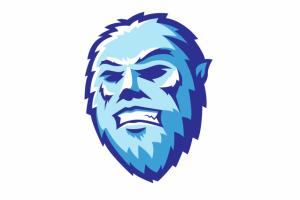 Йети (футбольная команда)