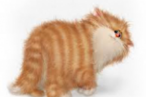 Начитка под видео