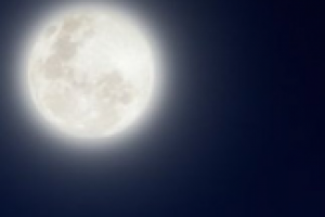 Стихотворение