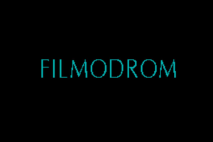Создание портала для просмотра фильмов Filmodrom