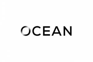 Проведение маркетингового исследования для магазина Ocean Store