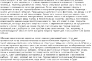 Керамическая черепица