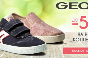 Работа 3270834