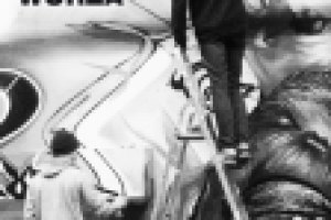 Фирменный стиль "Wurza"