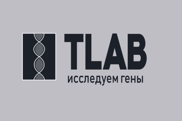 изображение_2025-02-11_210801736.png