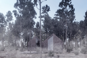 Визуализация загородного дома