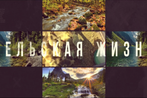 Интро для канала СелоLive