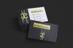 Работа 2751556