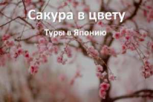 Дизайн презентации для туристической фирмы