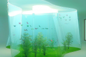 Концепция аквариума для выставки бабочек