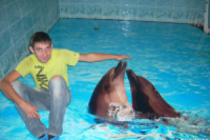 дельфинчики...