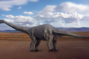 Работа 3714669