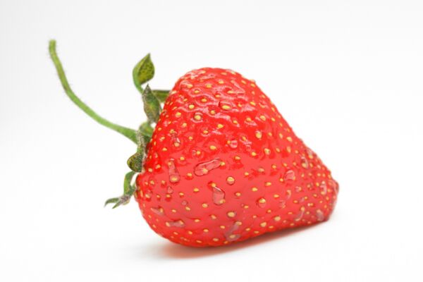 img3714651.png