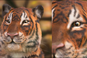 Работа 3714650