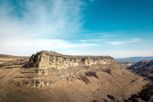 Работа 3679847