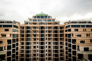 Работа 3679842