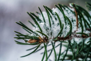 Работа 3679860