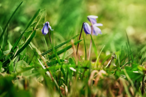 Работа 3679856