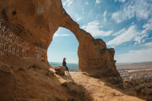 Работа 3679867