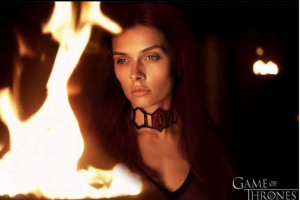 Работа 3679881