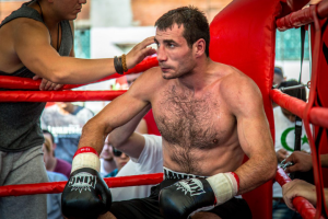 Работа 3679908