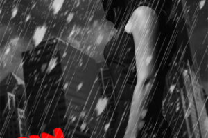 Работа 3679915